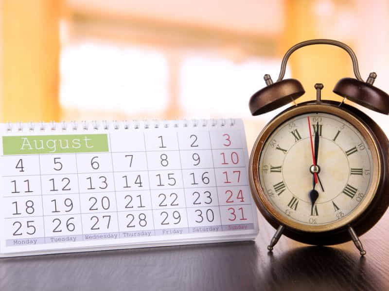 Health-Insurance-Care-Pal