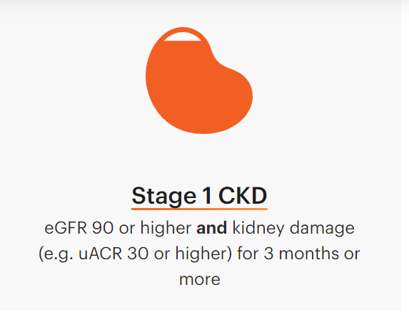 Kidney-Disease-1