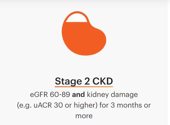 Kidney-Disease-2