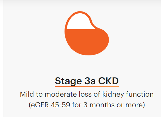 Kidney-Disease-3