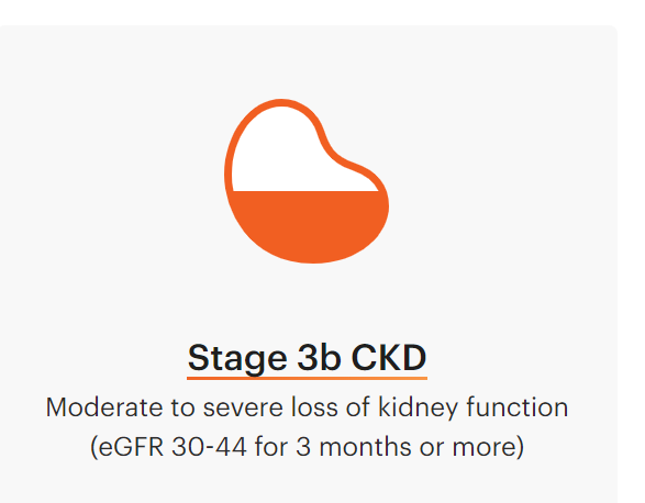 Kidney-Disease-4