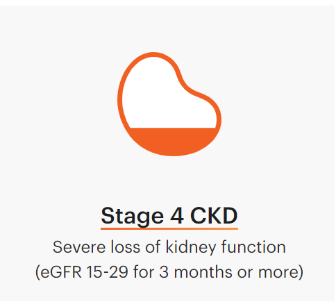 Kidney-Disease-5