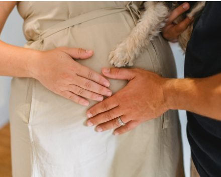 All you need to know about maternity cover!