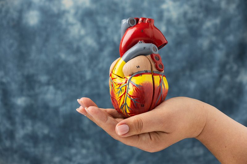 Health-Insurance-Cardiac-Care-1